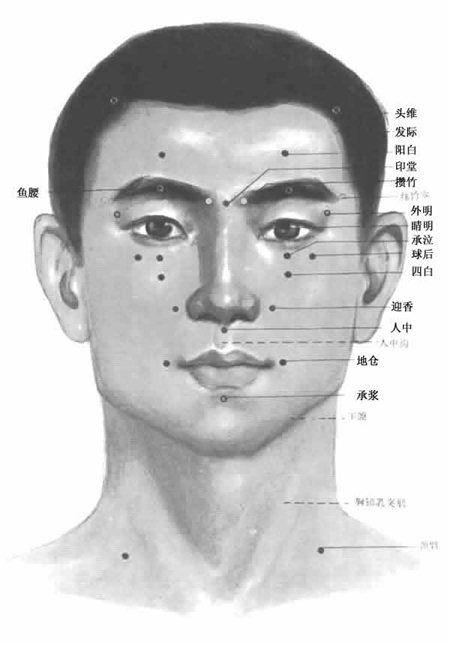 人体(tǐ)头部穴位图(tú)(正面(miàn)) 人体头(tóu)部穴位图(tú)(正面)