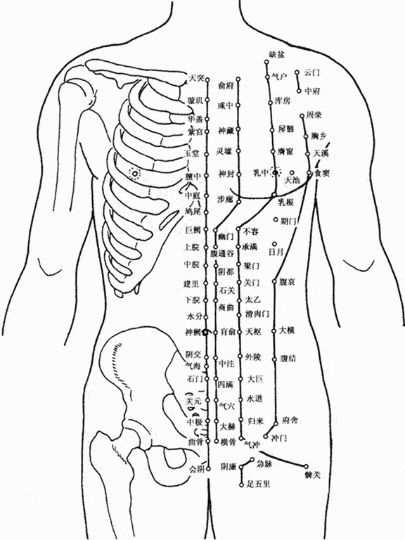 人体胸部腹部穴位图(tú) 人体胸部腹部穴(xué)位图